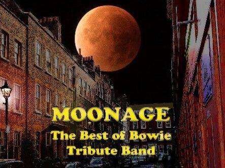 Moonage: The Best of Bowie