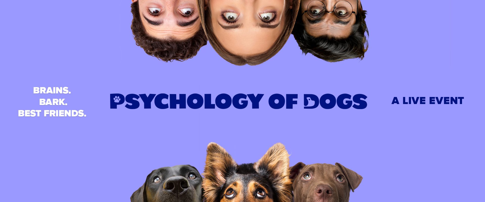 The Psychology of Dogs